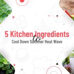 5 Kitchen Ingredients to Cool Down Summer Heat Wave